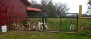 The Pack