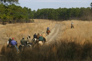 Hoffman Field Trial Grounds